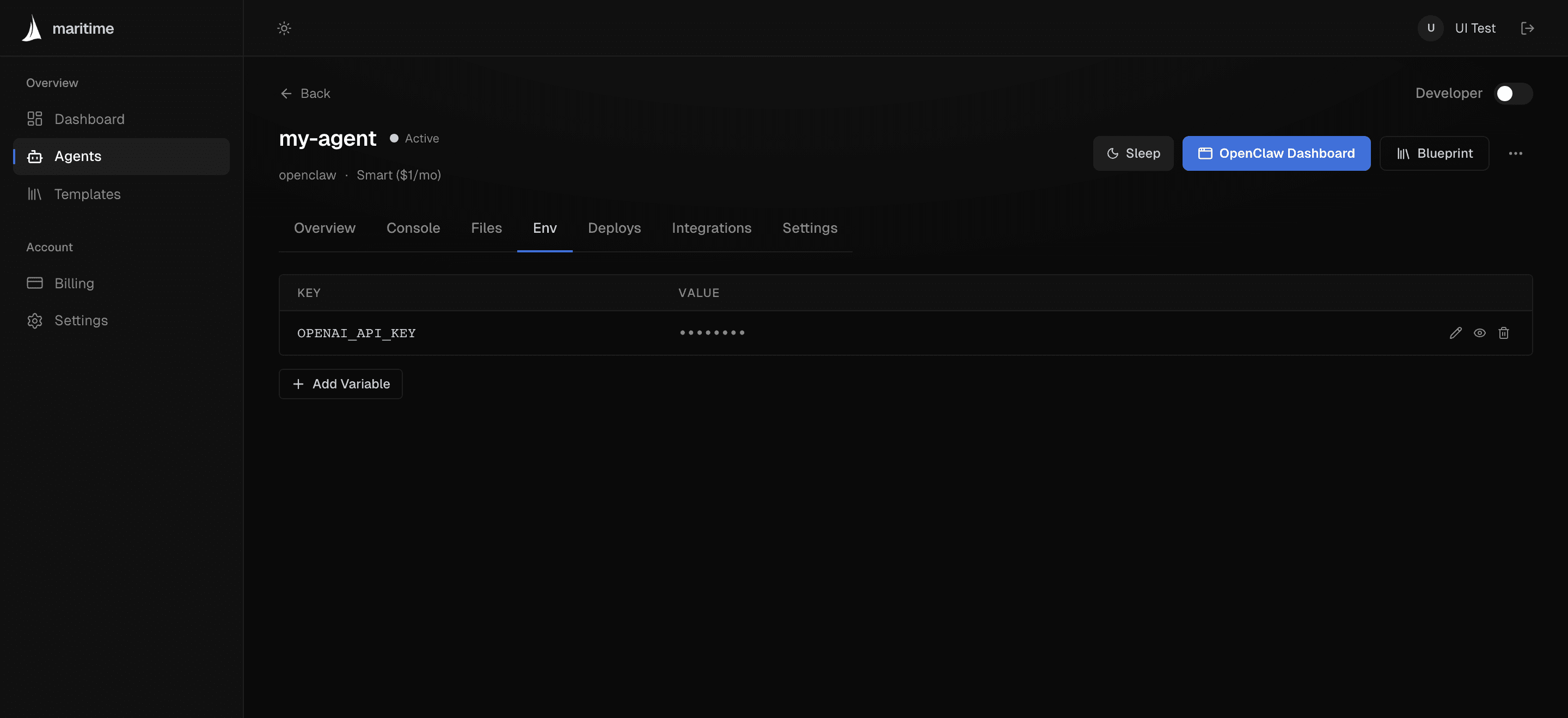 The Env tab of an agent showing a masked OPENAI_API_KEY variable